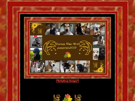 HOSTS/Pawprints2019/pg4 screenshot