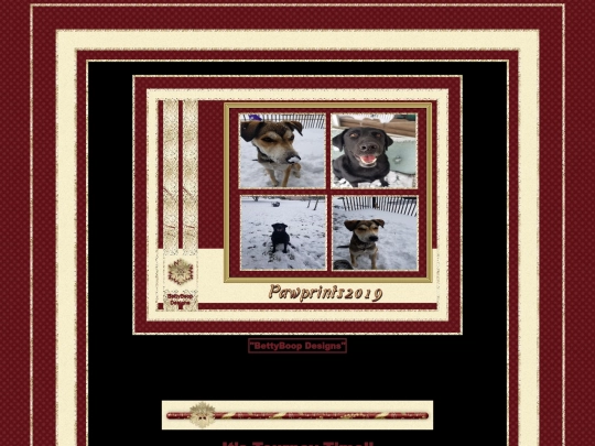 HOSTS/Pawprints2019/pg6 screenshot