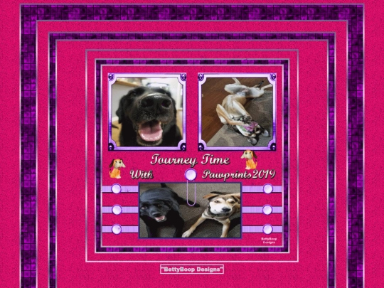 HOSTS/Pawprints2019/pg9 screenshot