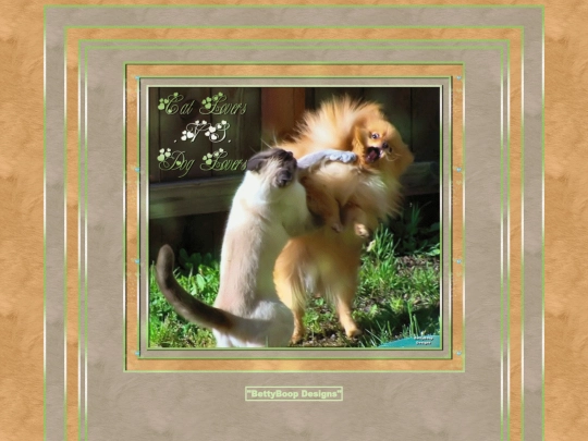 HOSTS/PogoWizards/pg14 screenshot