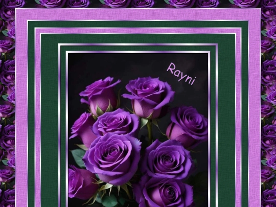 HOSTS/Rayni/pg52 screenshot