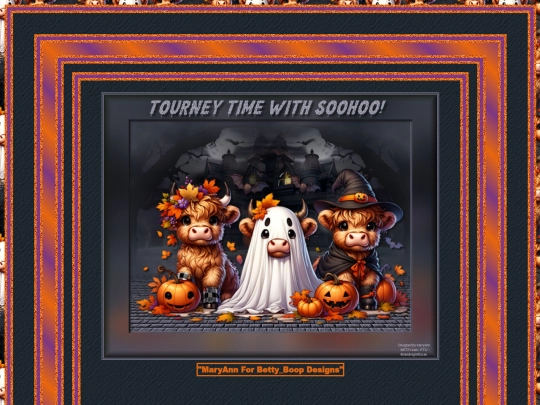 HOSTS/SOOHOO51/pg19 screenshot