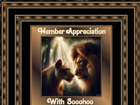 HOSTS/SOOHOO51/pg23 screenshot