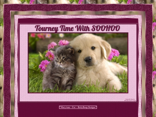 HOSTS/SOOHOO51/pg6 screenshot