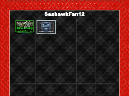 HOSTS/Seahawkfan12/SeahawkFan12 screenshot