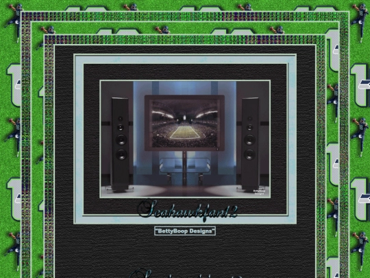 HOSTS/Seahawkfan12/pg2 screenshot