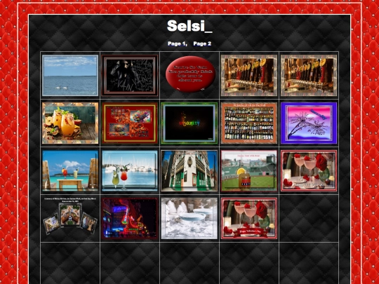 HOSTS/Selsi_/Selsi_pg2 screenshot