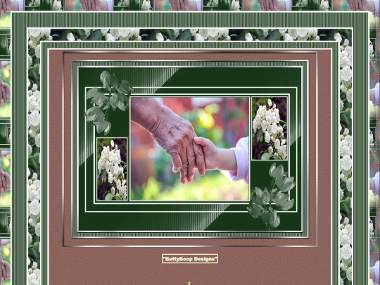 HOSTS/Selsi_/pg5 screenshot