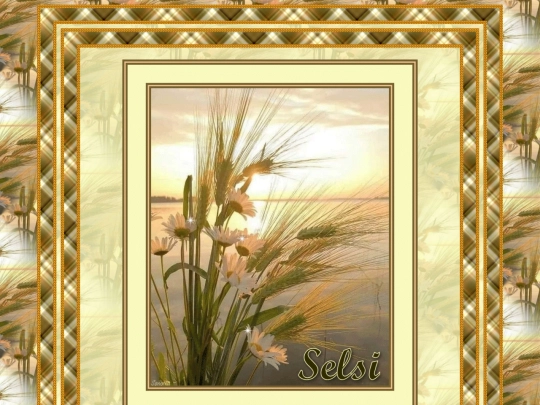HOSTS/Selsi_/pg6 screenshot