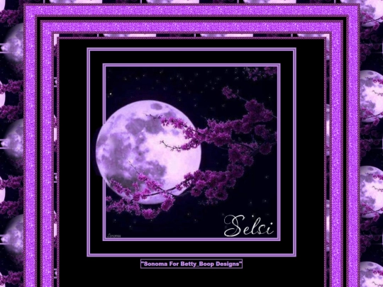 HOSTS/Selsi_/pg7 screenshot
