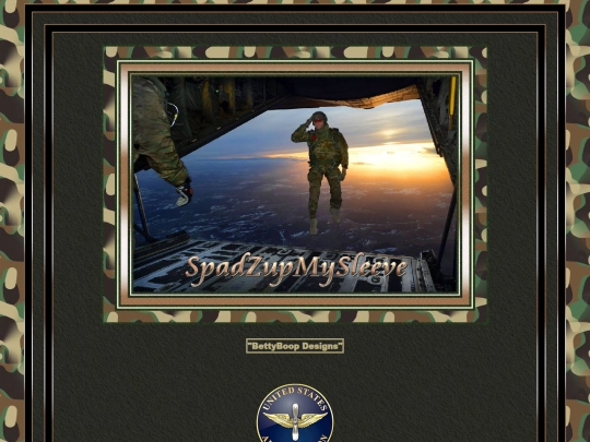 HOSTS/SpadZupMySleeve/pg2 screenshot