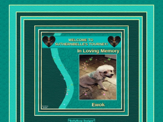 HOSTS/Suthernbelle62/pg6 screenshot