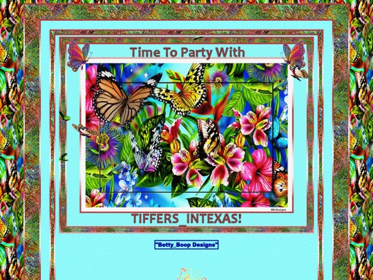 HOSTS/Tiffers_intexas/pg1 screenshot