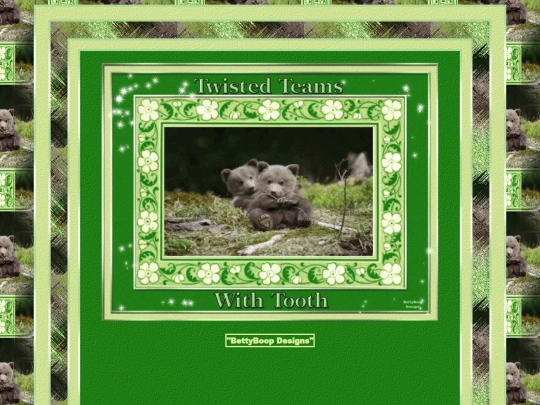 HOSTS/Toothache066/pg8 screenshot