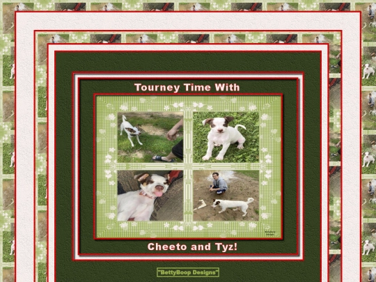 HOSTS/TyzBaybGrl8522/pg4 screenshot