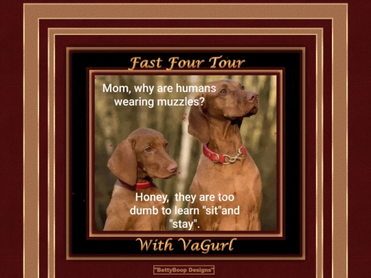 HOSTS/VaGurl/pg50 screenshot