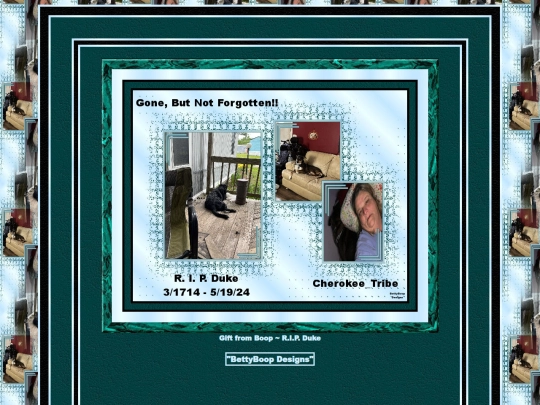 HOSTS/cherokee_tribe/pg8 screenshot