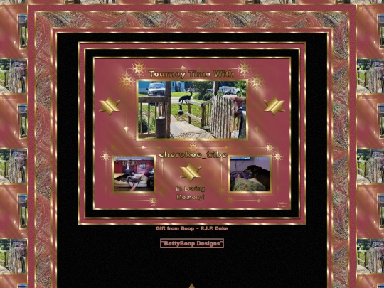 HOSTS/cherokee_tribe/pg9 screenshot