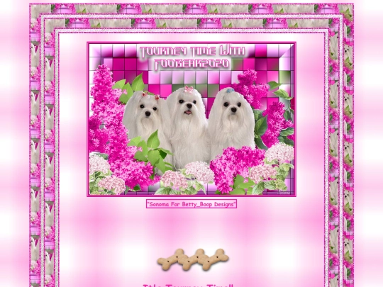HOSTS/foobear2020/pg5 screenshot
