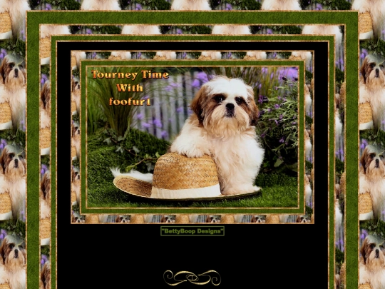 HOSTS/foofur1/pg2 screenshot