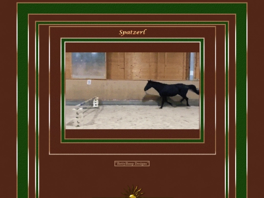 HOSTS/holley_ange/pg2 screenshot