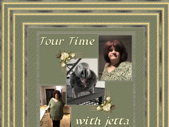 HOSTS/jetta42111/pg194 screenshot