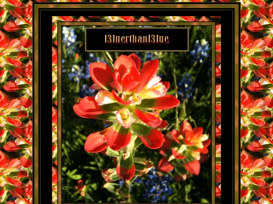 HOSTS/l3luerthanl3lue/l3luerthanl3lue-4 screenshot