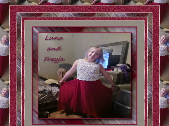 HOSTS/lisahill/pg2 screenshot