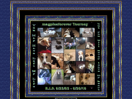 HOSTS/magpiesforever/pg13 screenshot