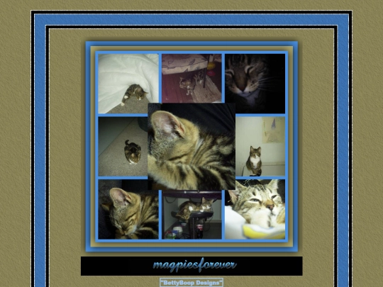 HOSTS/magpiesforever/pg4 screenshot