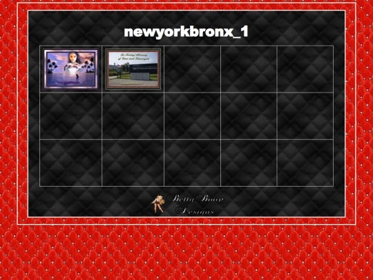 HOSTS/newyorkbronx_1/newyorkbronx_1 screenshot