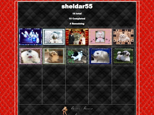 HOSTS/sheldar55/sheldar55 screenshot