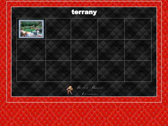 HOSTS/terrany/terrany screenshot