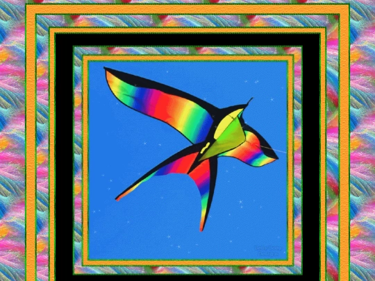 Kites/pg1 screenshot