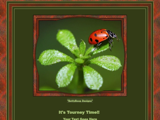 LadyBugs/Ladybugs-5 screenshot