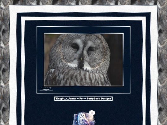 Owls/pg10 screenshot