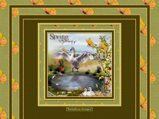 Spring/Spring26 screenshot