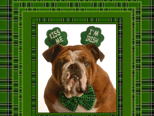 Stpatricks/stpatricksday-3 screenshot