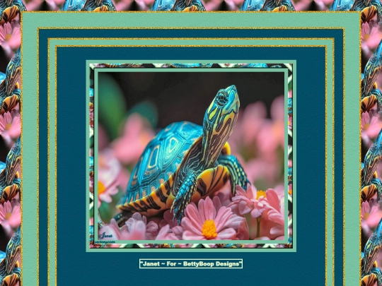 Turtles/pg5 screenshot