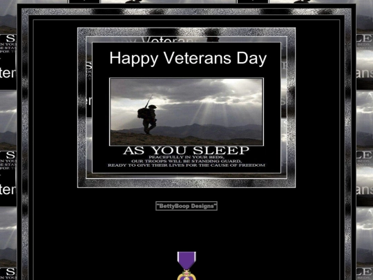VeteransDay/pg2 screenshot