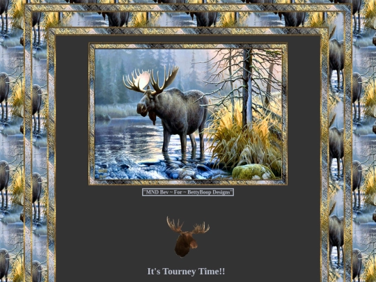 WildAnimals/WA-13 screenshot