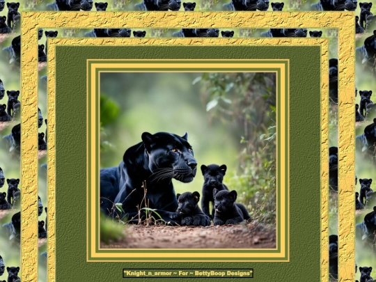 WildAnimals/pg37 screenshot