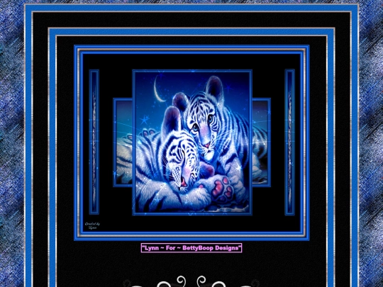 WildCats/pg10 screenshot