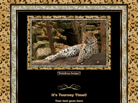 WildCats/pg8 screenshot