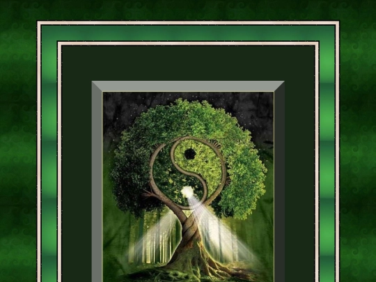 YinYang/pg12 screenshot