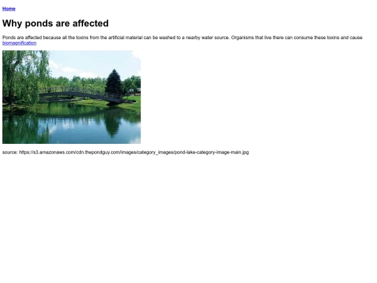 pond screenshot