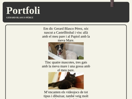 pag1_portfoli screenshot