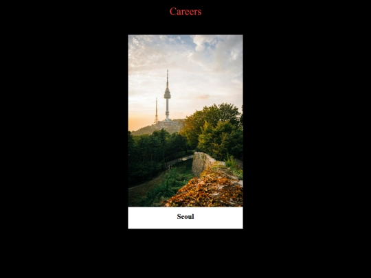 careers screenshot