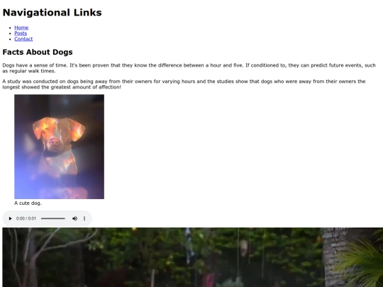 cachorromidia screenshot