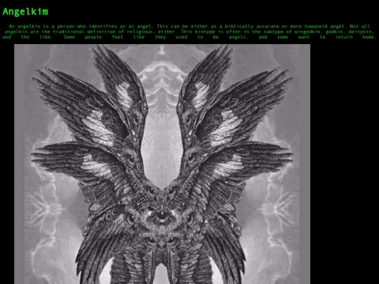 angelkin screenshot